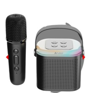 Audionic Boom Box 101 Speaker